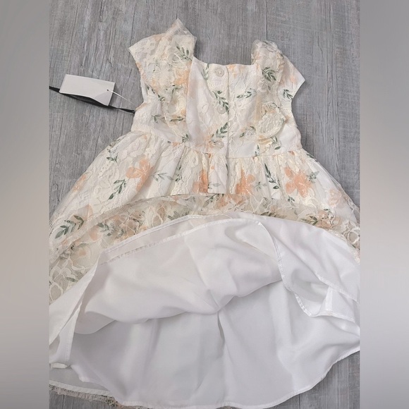 NWT White, Cream & Peach Floral Lace Dress - Picture 3 of 4